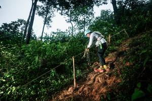 BIB: 
                            <button type="button" onclick="openModal(26203484)" class="btn btn-primary btn-sm float-right btn-popup" data-toggle="modal" data-target=".modal-high-quality">
                        <i class="fas fa-shopping-cart"></i> Add to Cart
                    </button>
                                            <button type="button" onclick="isThisMe(26203484, true)" class="btn btn-success btn-sm float-right btn-popup btn-isme hidden" data-toggle="tooltip" data-placement="bottom" title="นี่คือรูปของคุณใช่ไหม คลิกที่นี่เพื่อเอาเข้าอัลบั้ม">
                        <i class="fas fa-plus"></i> Add to album
                    </button>
                    <button type="button" onclick="isThisMe(26203484, false)" class="btn btn-warning btn-sm float-right btn-popup btn-isnotme hidden">
                        <i class="fas fa-ban"></i> Remove from album
                    </button>